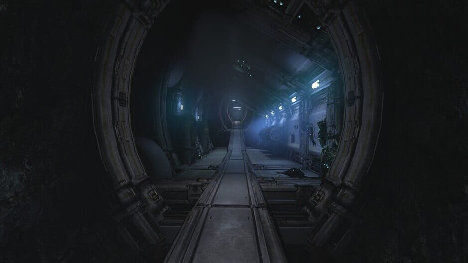 Soma 1