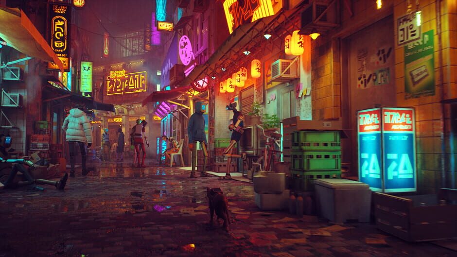 Stray 4