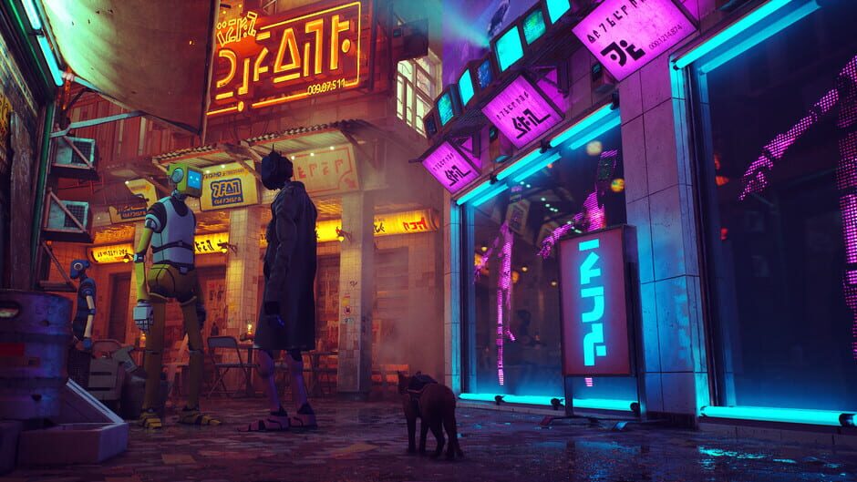 Stray 1