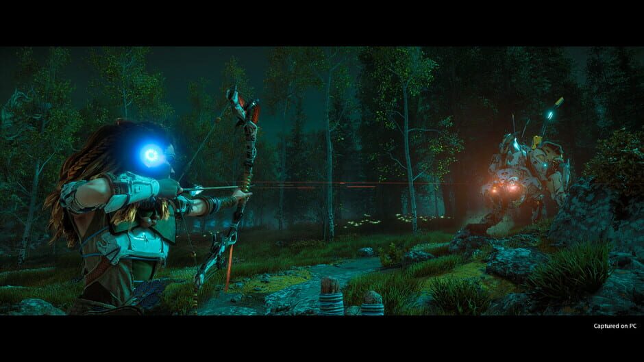 Horizon Zero Dawn: Complete Edition 1