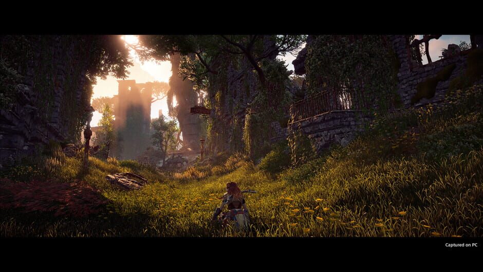 Horizon Zero Dawn: Complete Edition 2