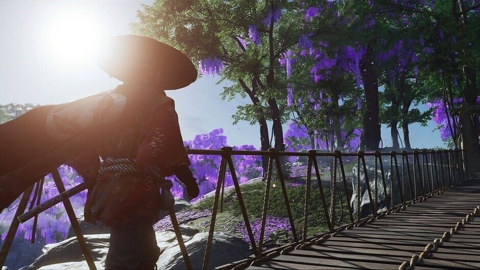 Ghost of Tsushima: Director's Cut 1
