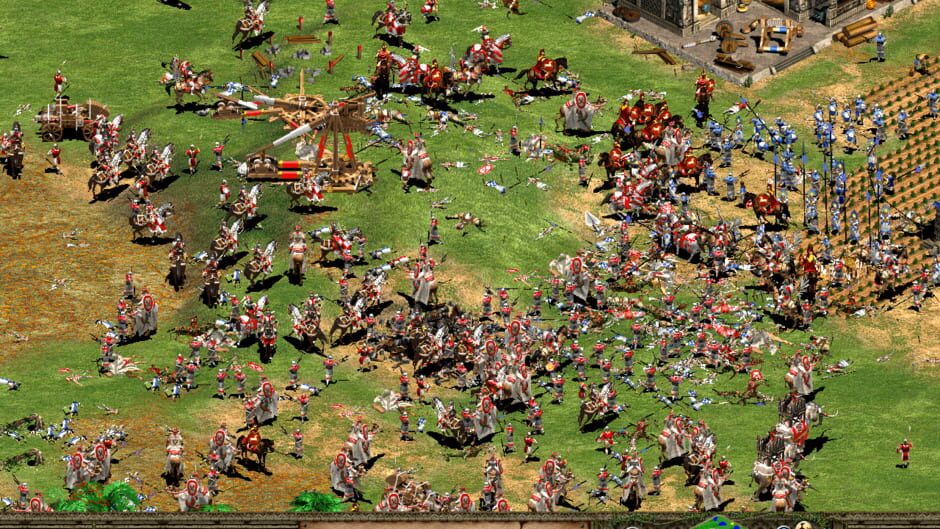 Age of Empires II: The Age of Kings 3